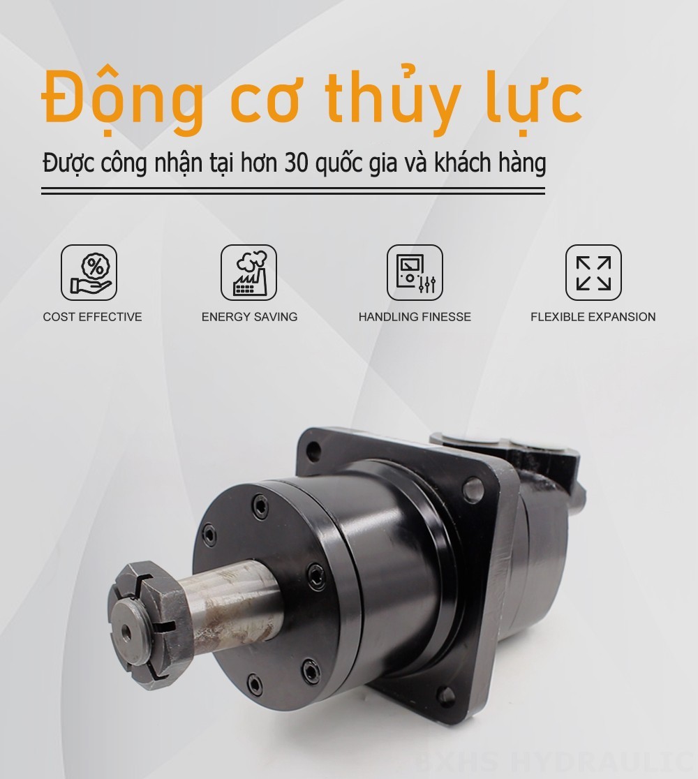 Mô-tơ thủy lực Cycloid BM6W 310 cc/vòng 150 L/phút Mô tơ thủy lực